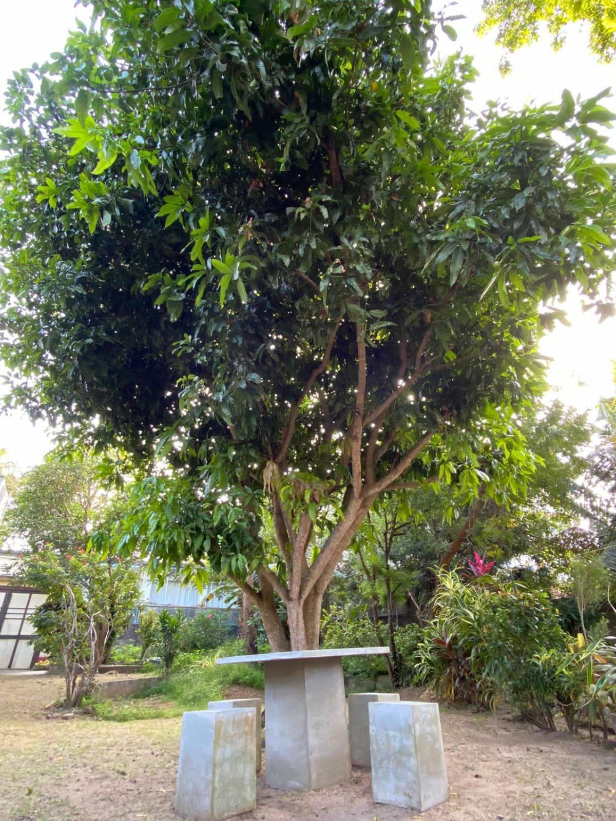 Sujatha Villa Paradise تانجالي المظهر الخارجي الصورة