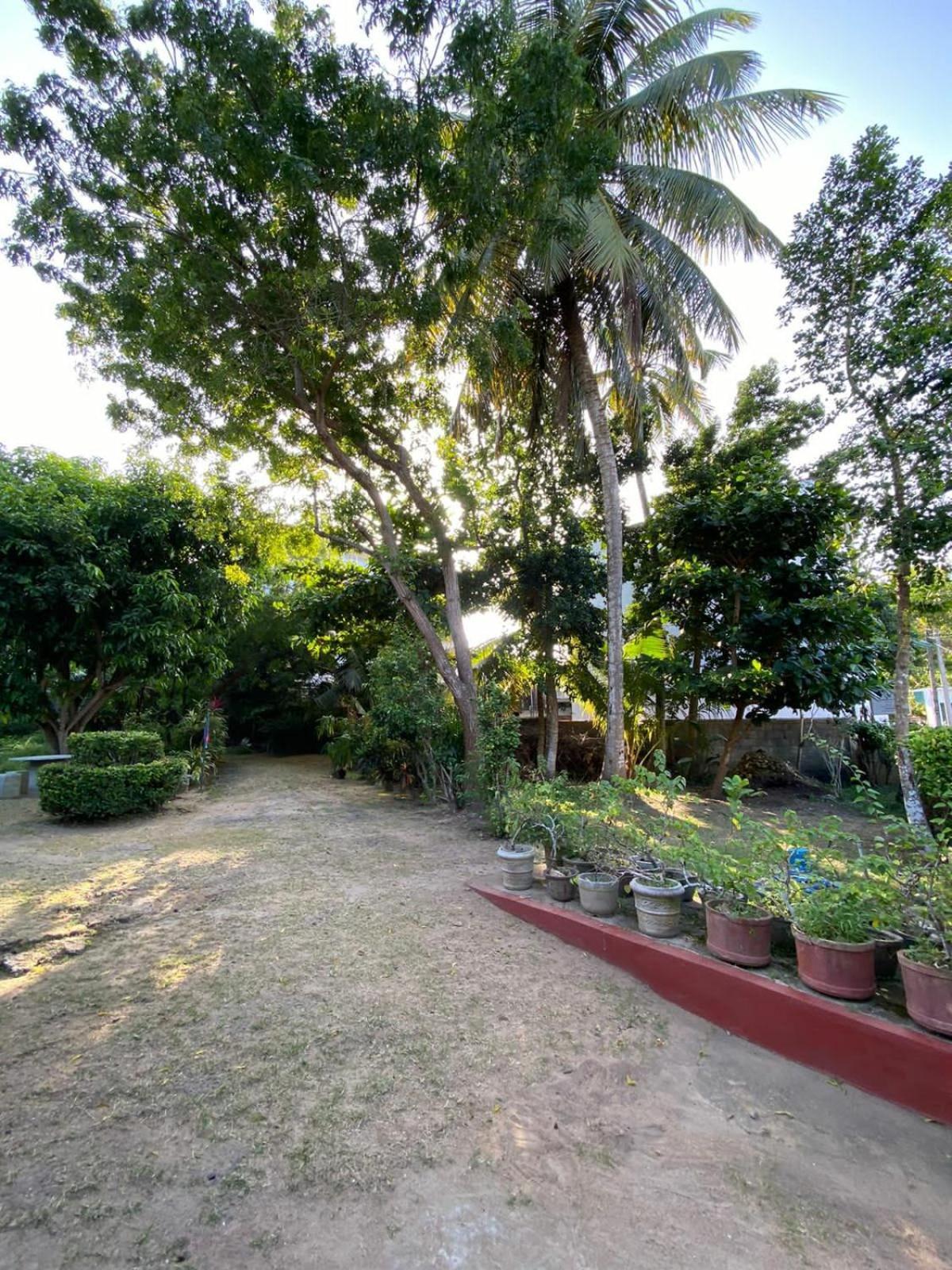 Sujatha Villa Paradise تانجالي المظهر الخارجي الصورة